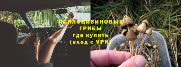 крисы Армянск